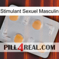 Male Sexual Stimulant 24